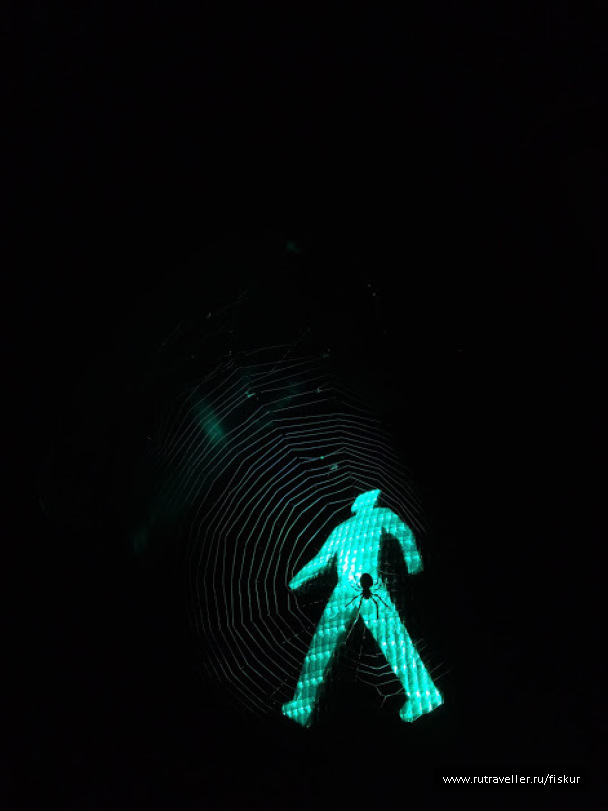 photo 1562748