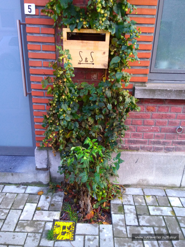 photo 1564425