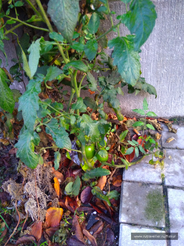 photo 1564426