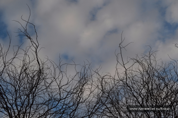 photo 1572838