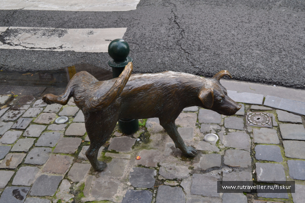 photo 1572848