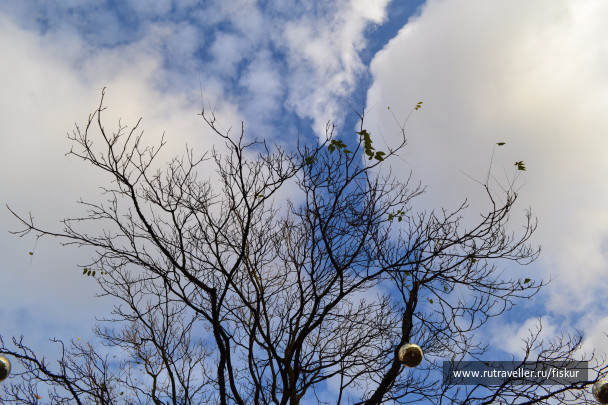 photo 1572869
