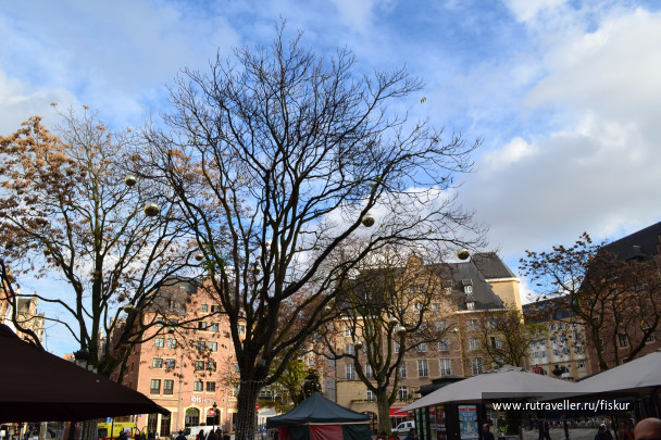 photo 1572870