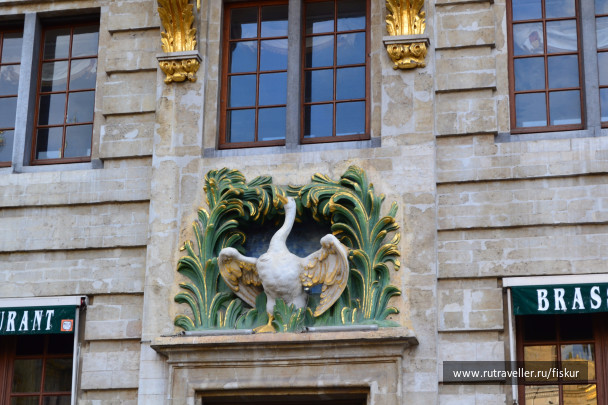 photo 1572872