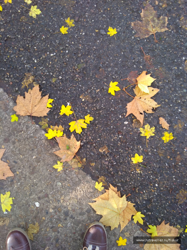 photo 1565713