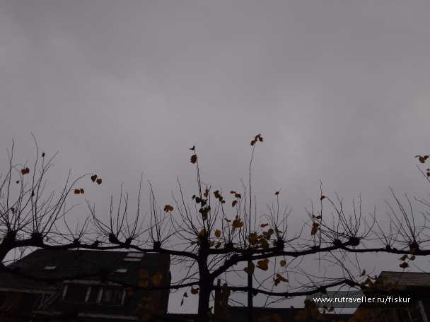 photo 1565717