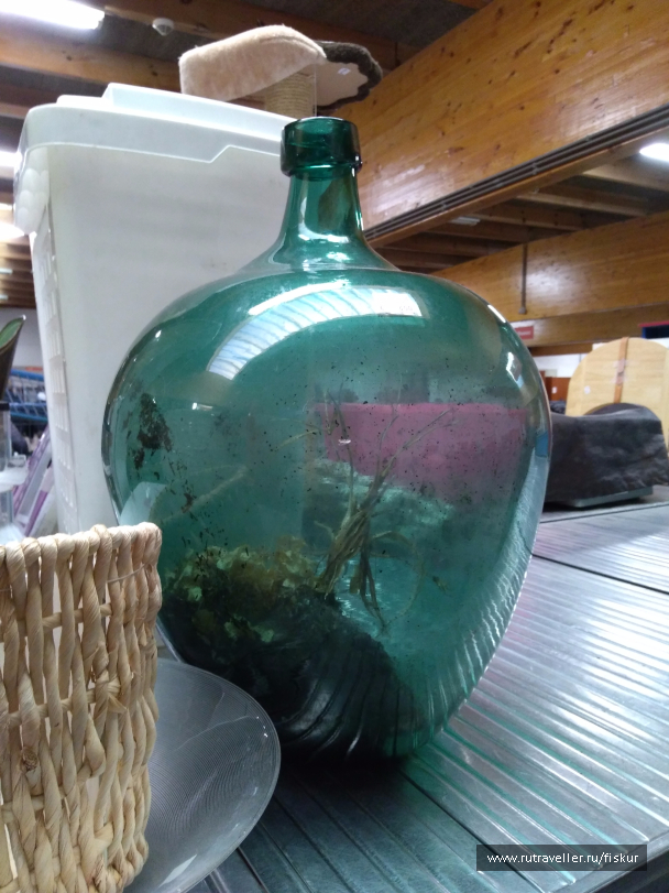 photo 1573227