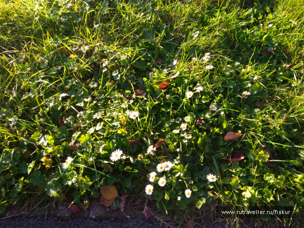 photo 1573228