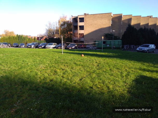 photo 1573229