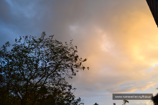 photo 1573250