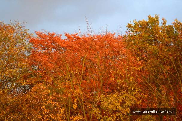 photo 1573251