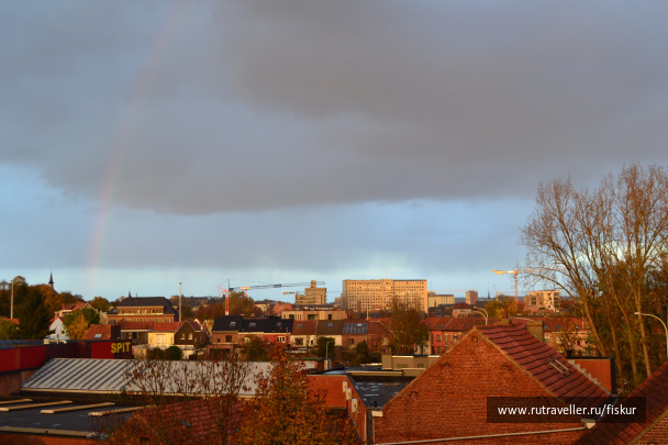 photo 1573254