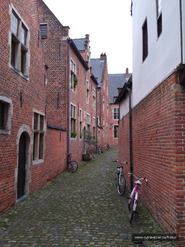 photo 1582307