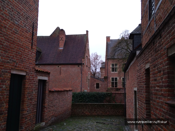 photo 1582308