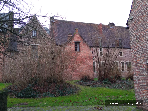 photo 1582309