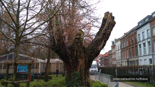 photo 1582311