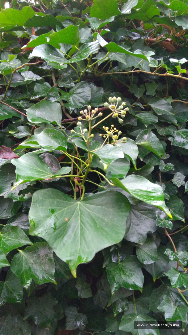 photo 1582313