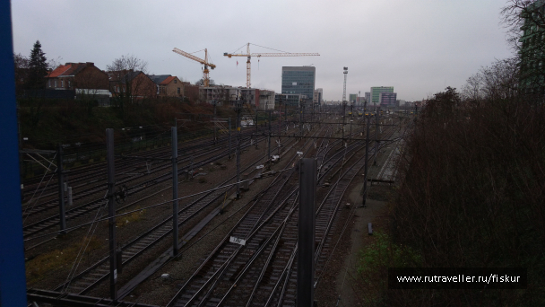 photo 1582319