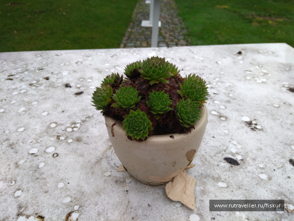 photo 1582320