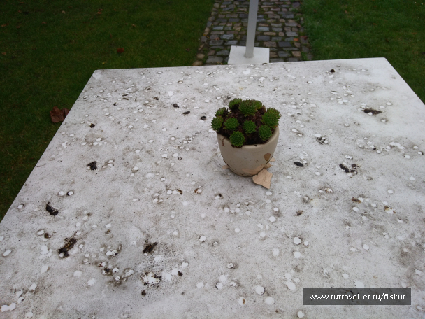 photo 1582321