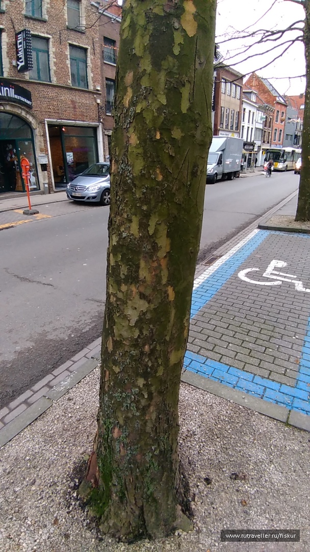 photo 1582327