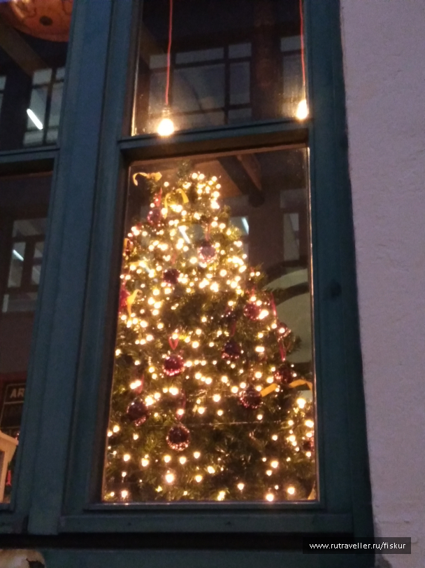 photo 1582328
