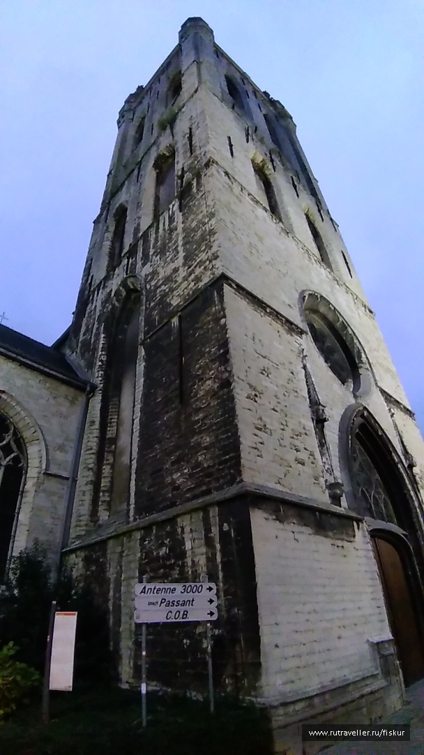 photo 1582329