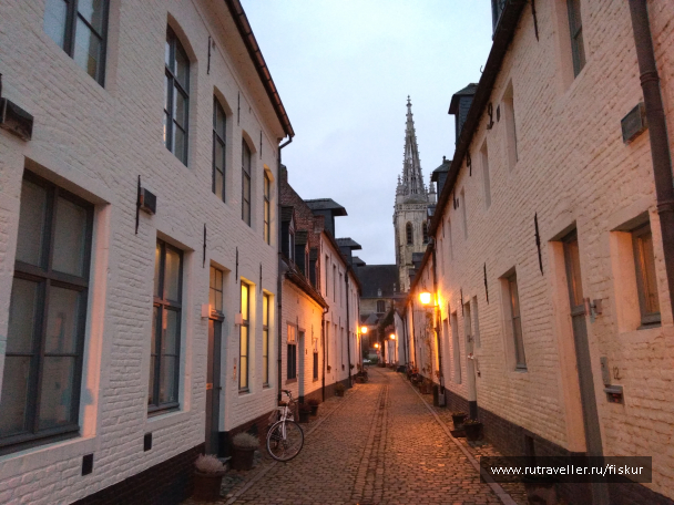 photo 1582331