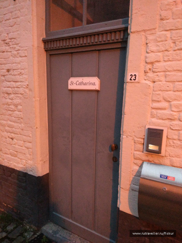 photo 1582332