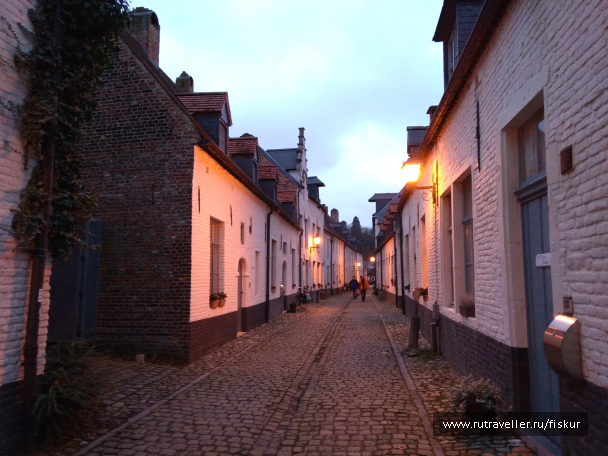 photo 1582334