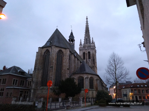 photo 1582335