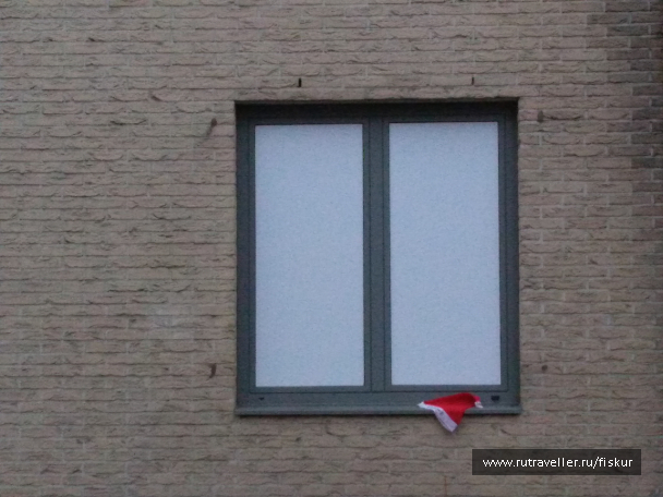 photo 1582338