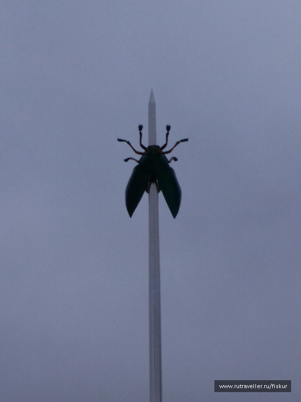photo 1582342