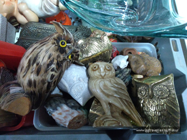 photo 1582346