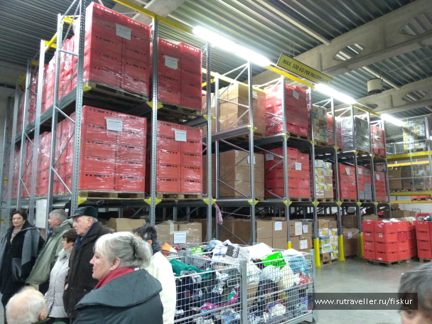 photo 1582351