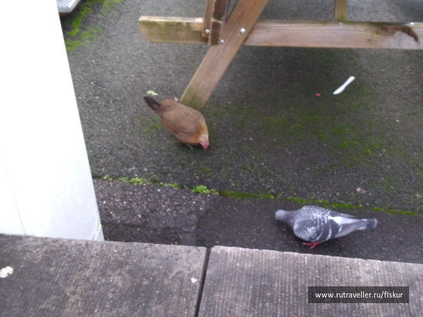 photo 1582357