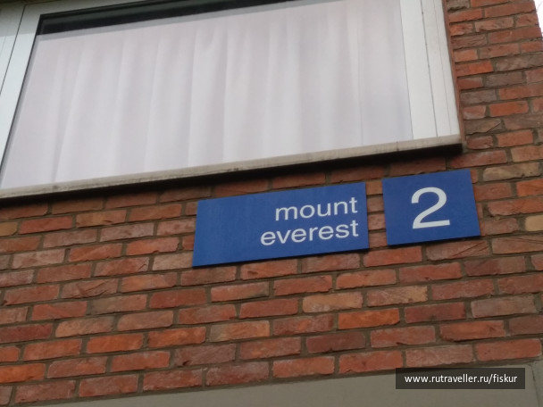 photo 1582361