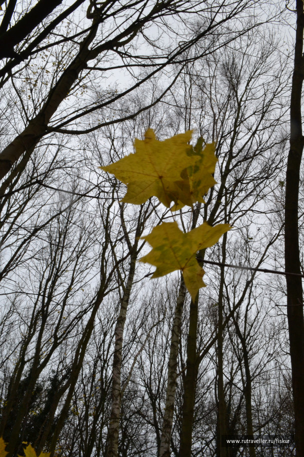 photo 1582375
