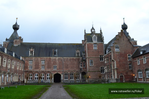 photo 1585234