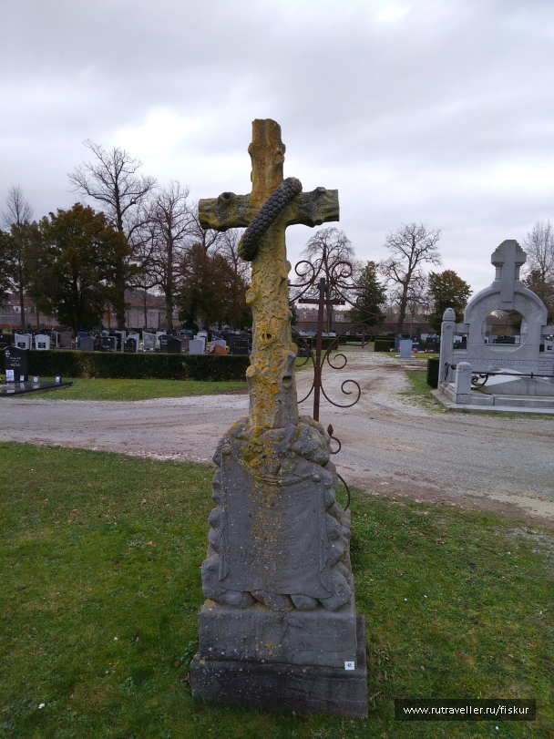 photo 1597806