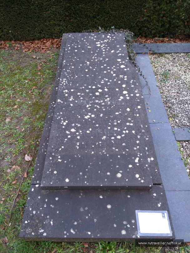 photo 1597807