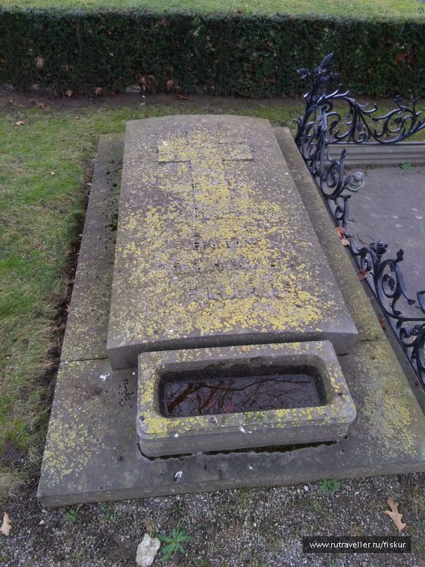 photo 1597809