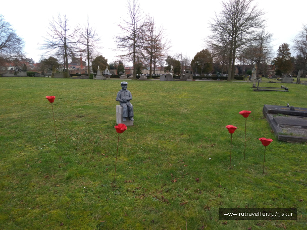 photo 1597811