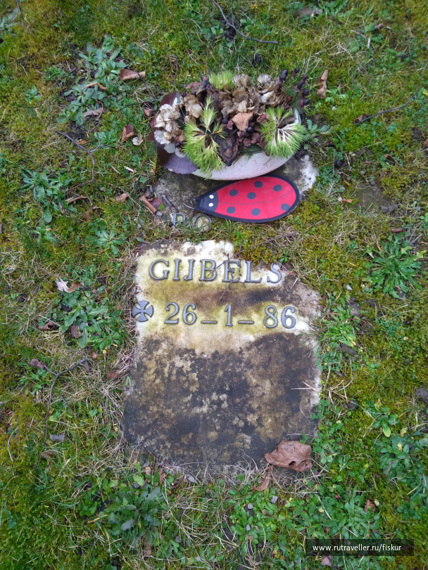 photo 1597813