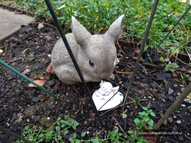 photo 1597818