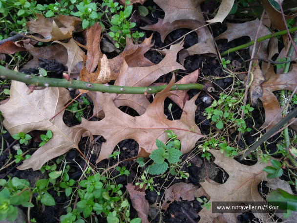 photo 1597820