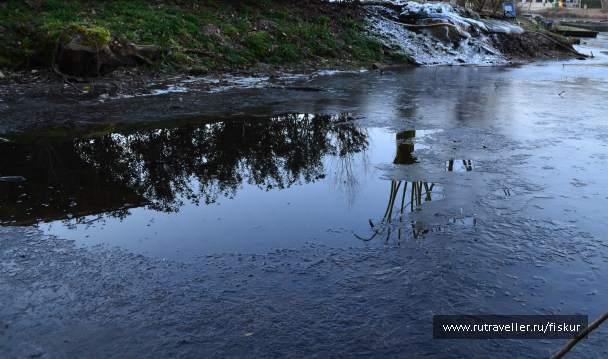 photo 1597845