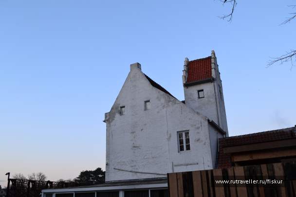 photo 1597847