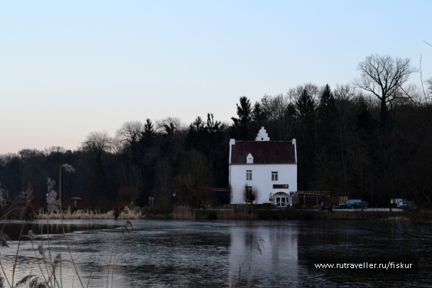 photo 1597853