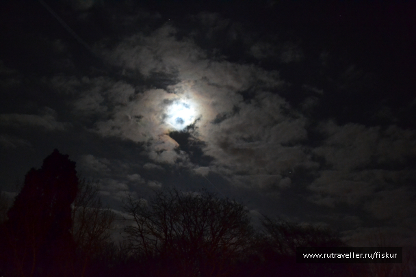 photo 1597858